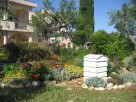 1 Bedroom Stylish Garden Apartment on a Farm near Monopolia, Puglia, Italy
